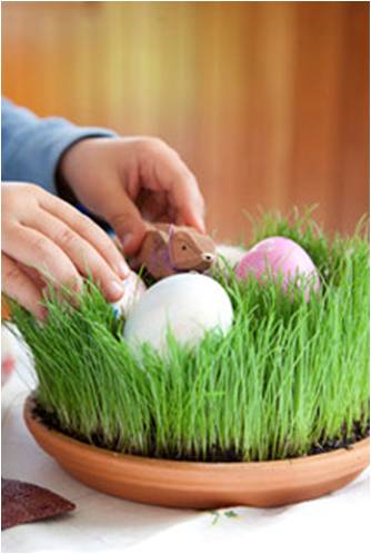 The Home Academy decorando centro huevos de pascua