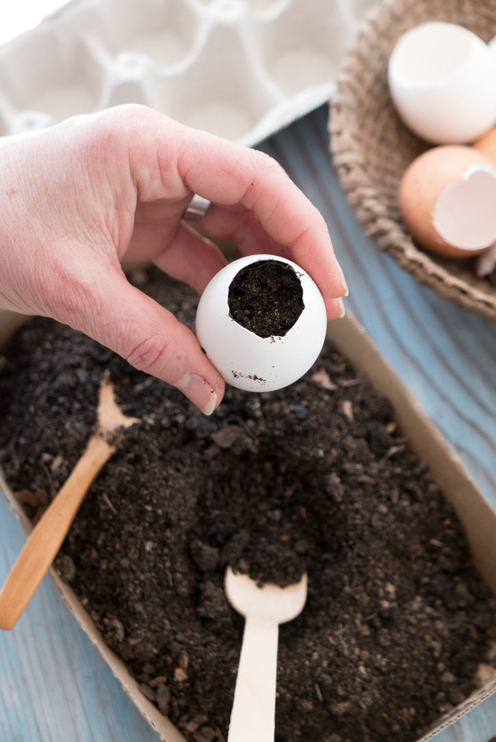 The Home Academy jardinería