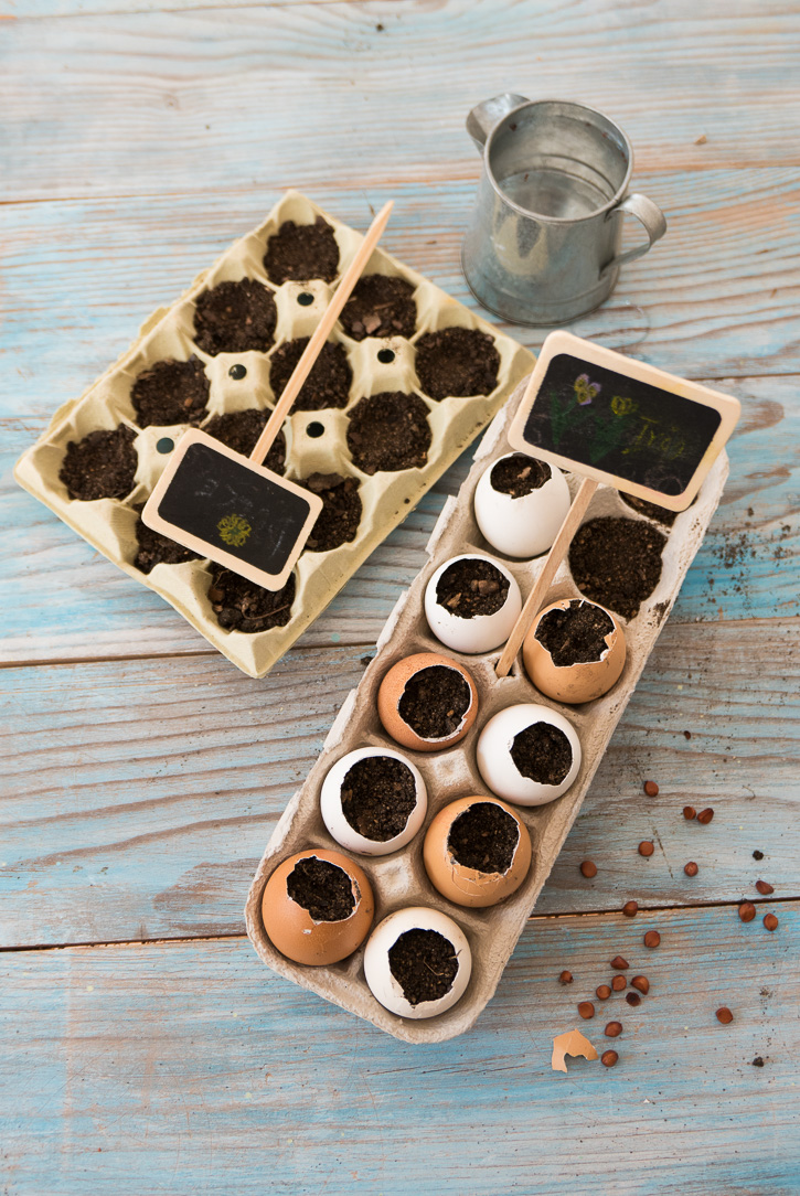 The Home Academy plantación