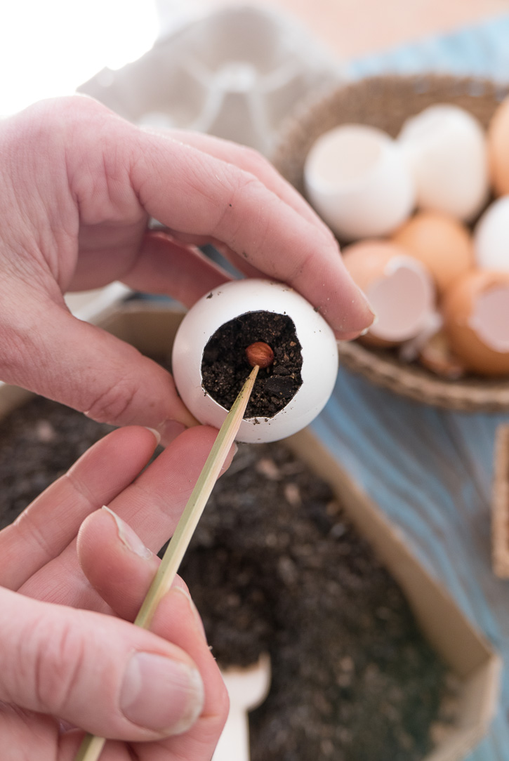 The Home Academy plantamos 2