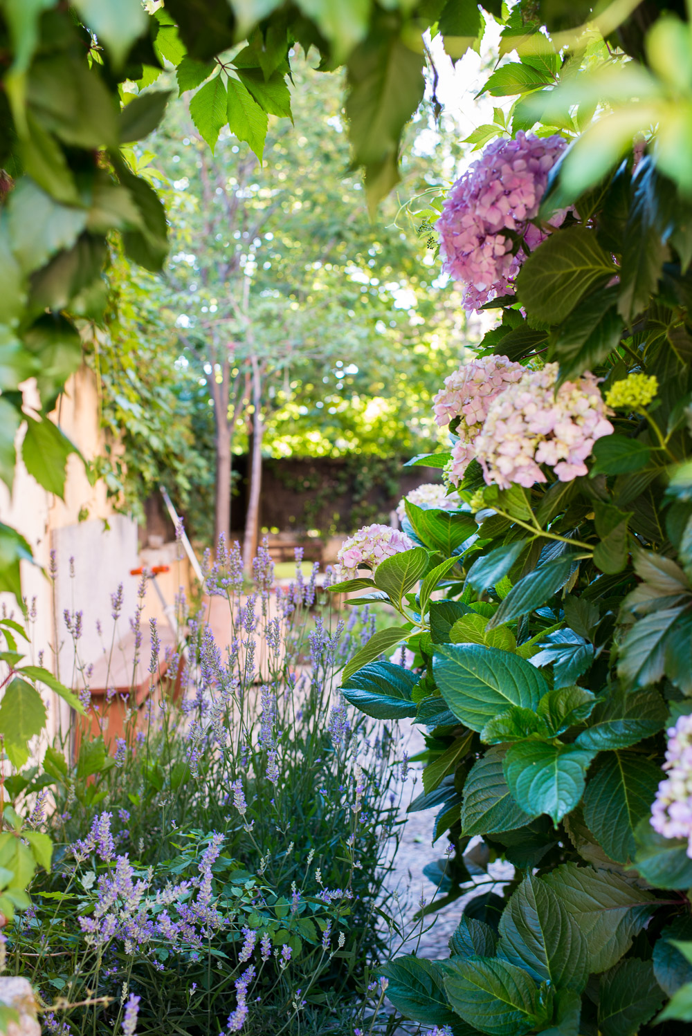 The Home Academy jardin