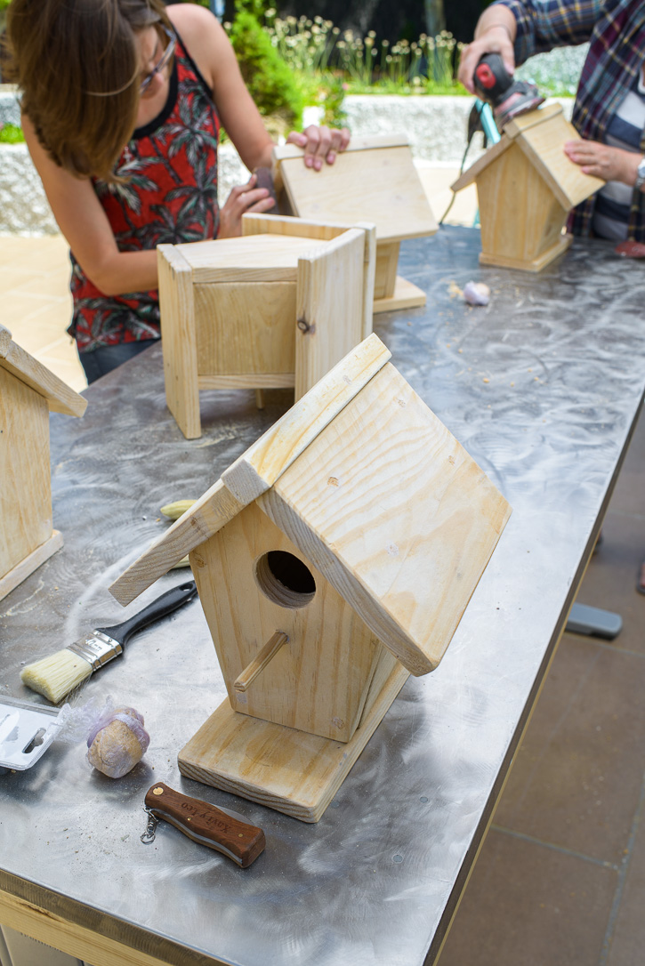 The Home Academy Casitas 087