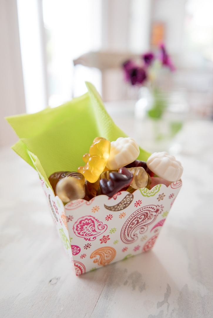 The Home Academy chuches ecológicas 
