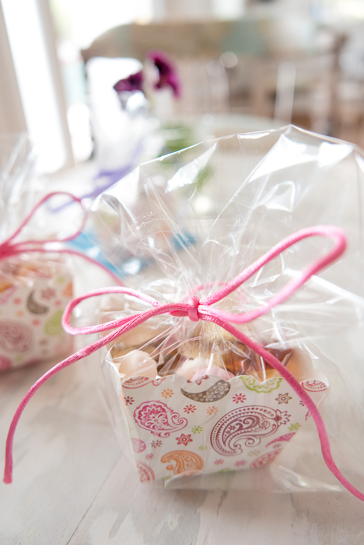 The Home Academy chuches ecológicas 2