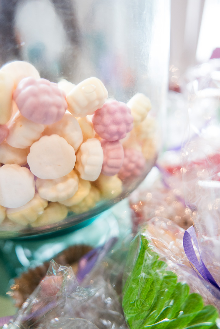 The Home Academy chuches ecológicas 3009