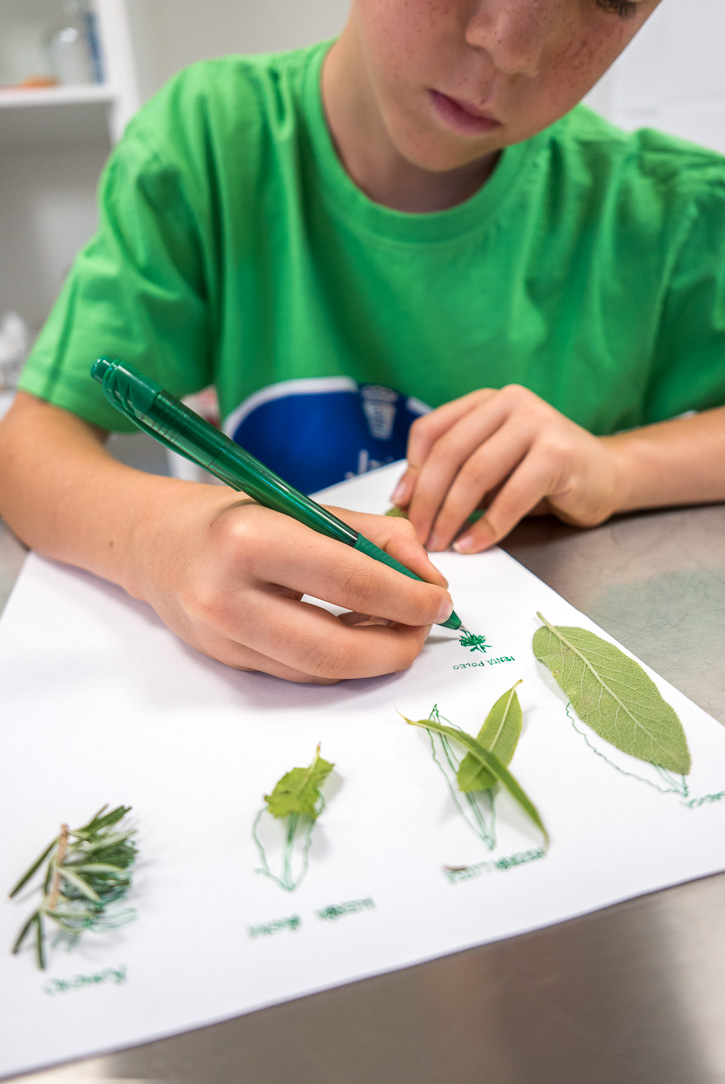 Taller sensorial 4