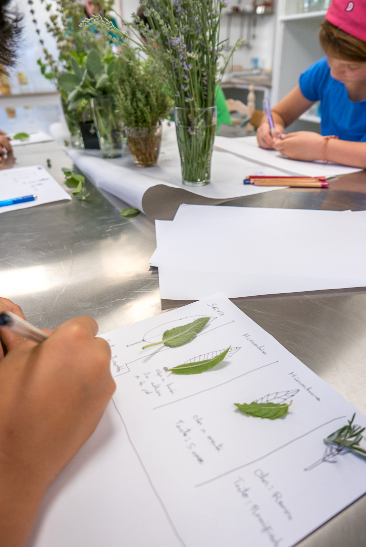 Taller sensorial 5