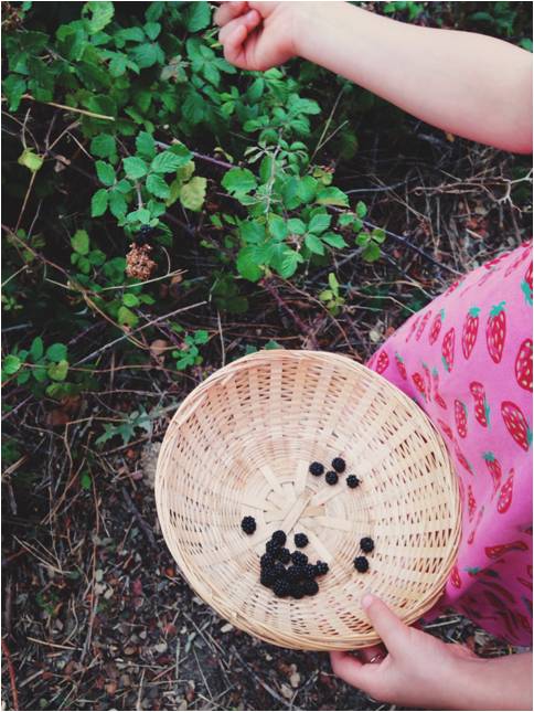 cogiendo moras 1