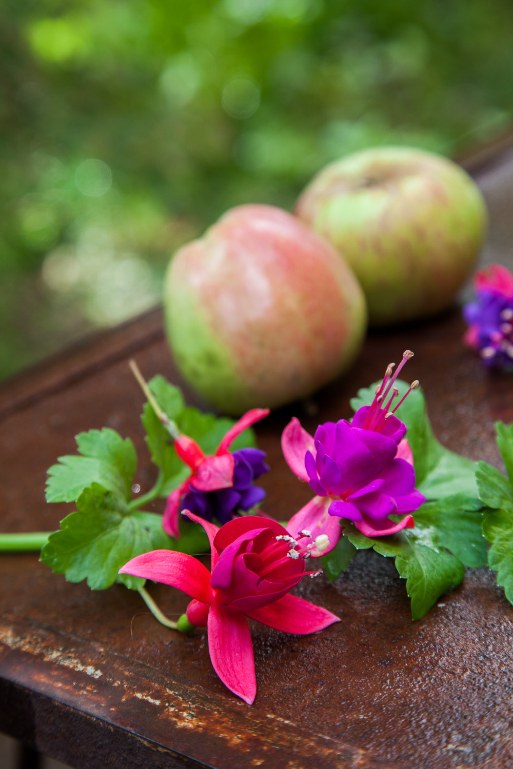 20220 Manzanas y flores
