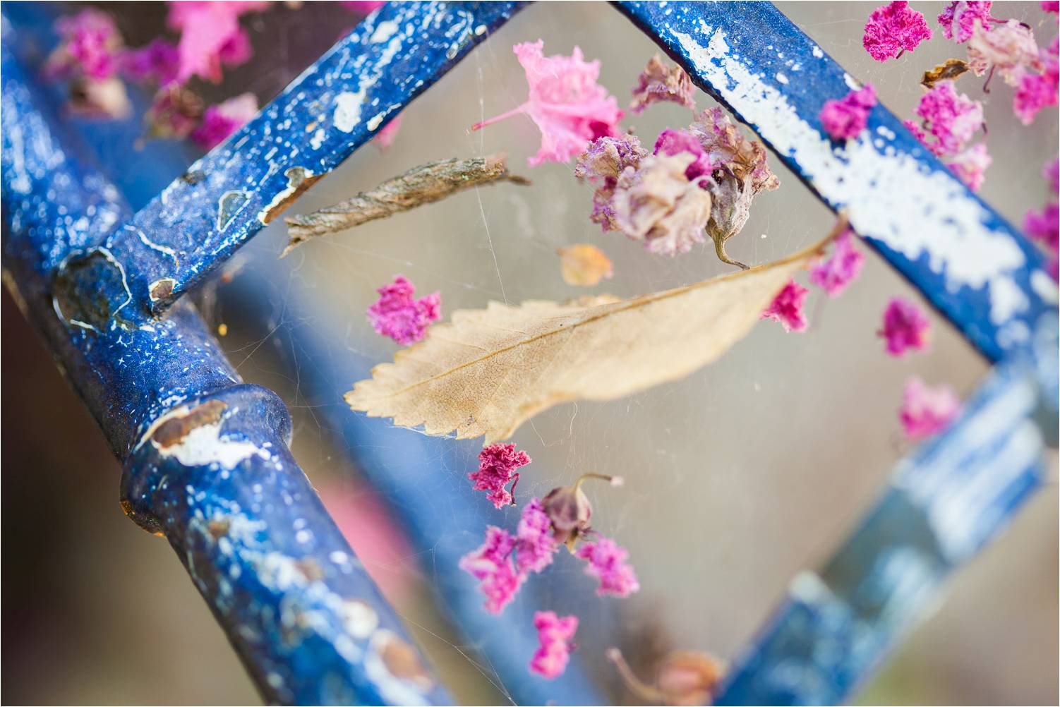 Banner Home
