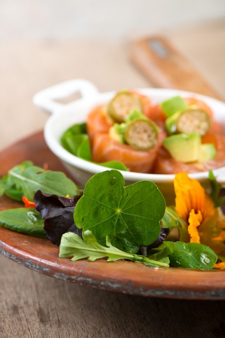 03302-Salmon-marinado-con-ensalada-1-460x690