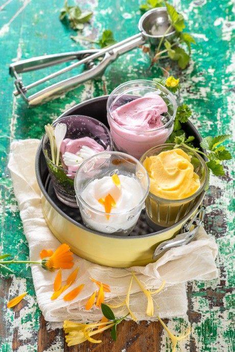 3426-Sorbetes-de-fruta-460x690 1